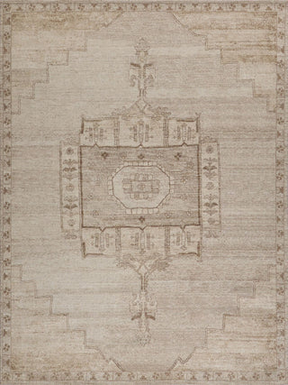 Exquisite Rugs Estate 7519 Light Gray/Gray Area Rug main image