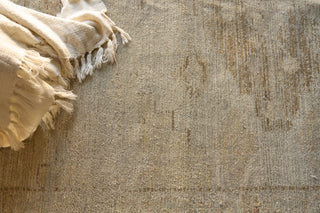 Exquisite Rugs Kingston 7568 Tan/Beige Area Rug Lifestyle Image Feature