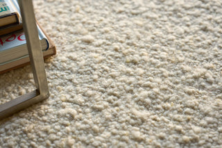 Exquisite Rugs Pompano 7577 Ivory/Gray/Beige Area Rug Lifestyle Image Feature