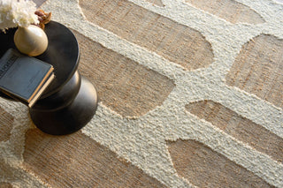 Exquisite Rugs Pompano 7578 Ivory/Beige Area Rug Lifestyle Image Feature