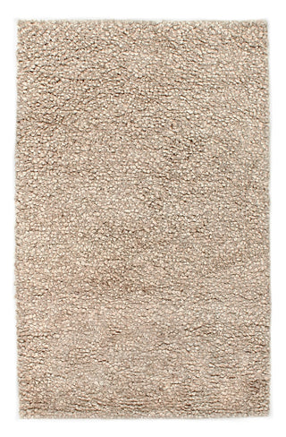 Exquisite Rugs Wool Shaggy 9159 Beige Area Rug main image