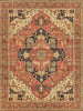 Exquisite Rugs Fine Serapi 9206 Rust/Ivory Area Rug main image