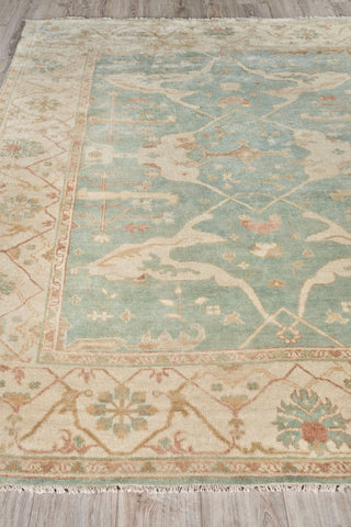 Exquisite Rugs Antique Weave Oushak 9214 Blue/Ivory Area Rug Closeup Image