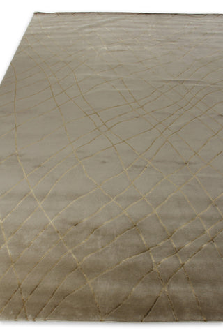 Exquisite Rugs Super Tibetan 9221 Beige Area Rug Pile Image