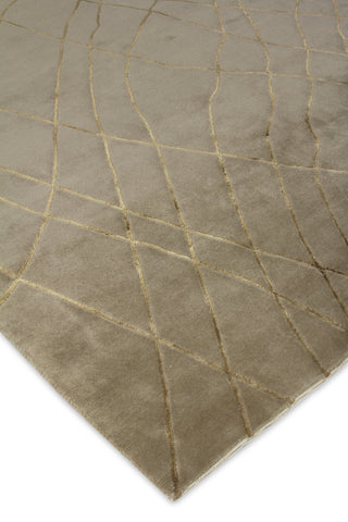 Exquisite Rugs Super Tibetan 9221 Beige Area Rug Lifestyle Image Feature