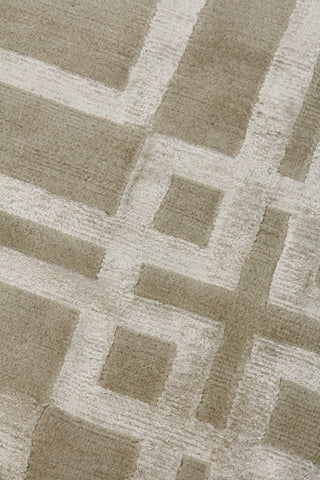 Exquisite Rugs Super Tibetan 9556 Taupe Area Rug Closeup Image