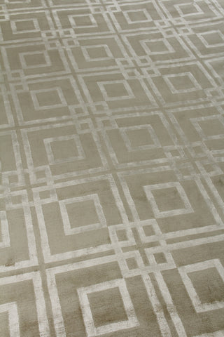 Exquisite Rugs Super Tibetan 9556 Taupe Area Rug Detail Image