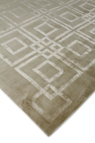 Exquisite Rugs Super Tibetan 9556 Taupe Area Rug Lifestyle Image Feature