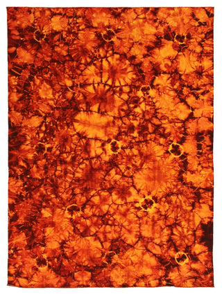 Exquisite Rugs Flatweave 9586 Orange/Red Area Rug main image