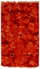 Exquisite Rugs Flatweave 9588 Red Area Rug main image