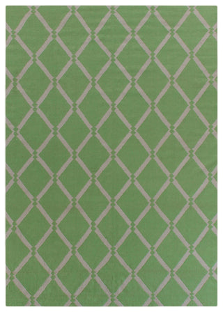 Exquisite Rugs Flatweave 9621 Mint Area Rug main image