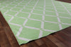 Exquisite Rugs Flatweave 9621 Mint Area Rug Corner Image