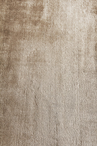 Exquisite Rugs Dove Plain 9652 Beige Area Rug Detail Image