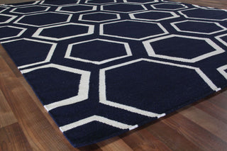 Exquisite Rugs Flatweave 9695 Navy/White Area Rug Corner Image
