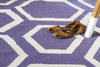 Exquisite Rugs Flatweave 9700 Purple/White Area Rug Detail Image