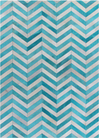 Exquisite Rugs Natural Hide 9783 Turquoise Area Rug main image