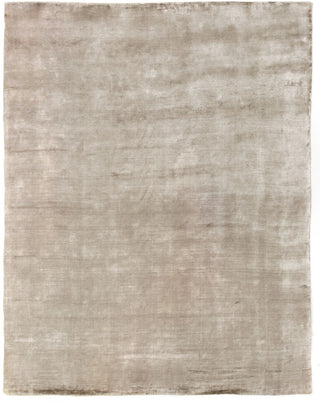 Exquisite Rugs Purity 9911 Light Green/Ivory Area Rug main image