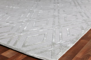 Exquisite Rugs Metro Velvet 9958 Silver Area Rug by The Met Corner Image