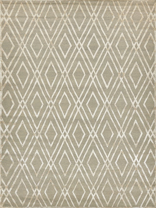 Exquisite Rugs Metro Velvet 9959 Light Beige Area Rug by The Met main image