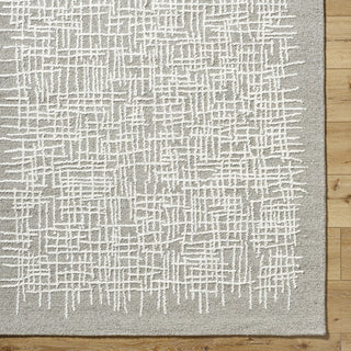 Livabliss Falcao FAC-2300 Light Silver Area Rug