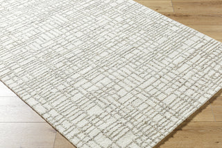 Livabliss Falcao FAC-2303 Light Silver Area Rug