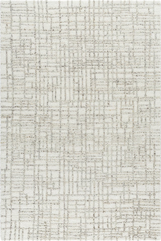 Livabliss Falcao FAC-2303 Light Silver Area Rug