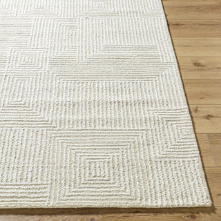 Livabliss Falcao FAC-2304 Light Silver Area Rug