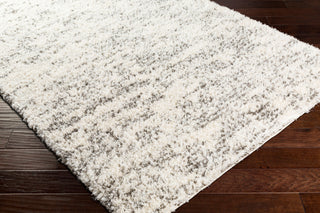 Livabliss Fanfare FAF-1006 Charcoal Area Rug Corner Shot