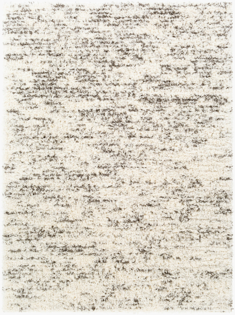 Livabliss Fanfare FAF-1006 Charcoal Area Rug main image
