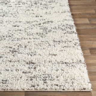 Livabliss Fanfare FAF-1006 Charcoal Area Rug Angle