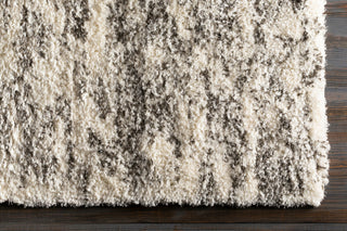 Livabliss Fanfare FAF-1006 Charcoal Area Rug Overhead Image