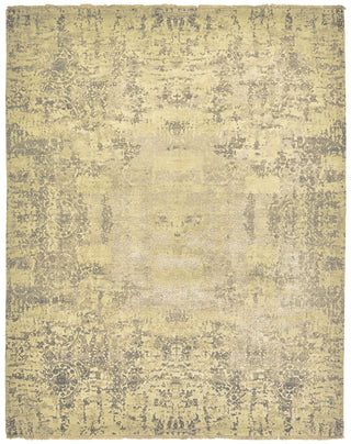 Feizy Doshi 6033L Gold/Tan Area Rug main image