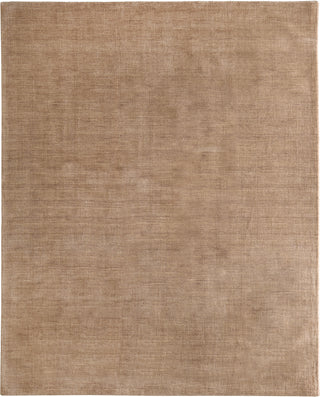Feizy Luna 8049F Tan / Brown Area Rug Main Image