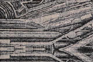 Feizy Lyra 6552F Gray/Ivory/Black Area Rug Pattern Image