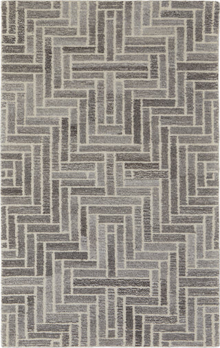 Feizy Asher 8768F Gray/Ivory Area Rug