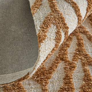 Feizy Colton 8A55F Brown/Tan Area Rug Detail
