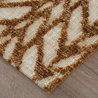 Feizy Colton 8A55F Brown/Tan Area Rug Corner