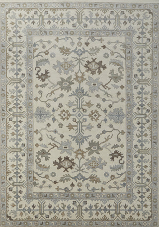 Feizy Karina 69G5F Ivory/Gray/Brown Area Rug Main Image