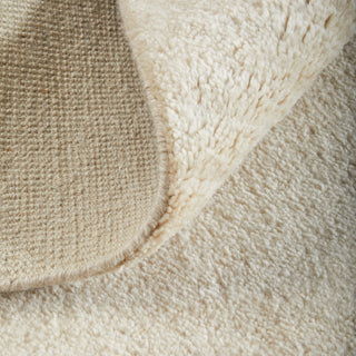 Feizy Agape 69H7F Ivory/Brown Area Rug Lifestyle Image Feature