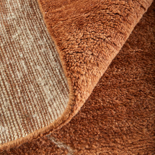 Feizy Agape 69H8F Orange/White Area Rug by Thom Filicia Corner Image