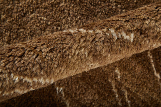 Feizy Agape 69HAF Brown/Ivory Area Rug Lifestyle Image Feature