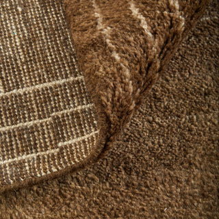 Feizy Agape 69HAF Brown/Ivory Area Rug Lifestyle Image Feature