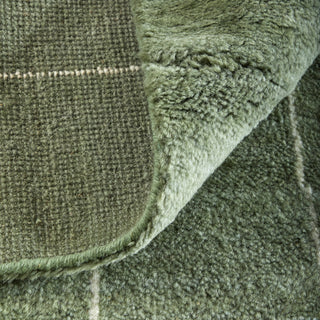 Feizy Agape 69HBF Green/Ivory Area Rug Lifestyle Image Feature