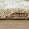 Feizy Anica 8A97F Ivory/Taupe/Gray Area Rug Pile Image