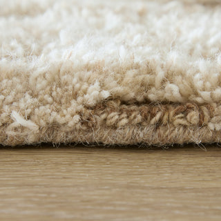 Feizy Anica 8A97F Ivory/Taupe/Gray Area Rug Pile Image