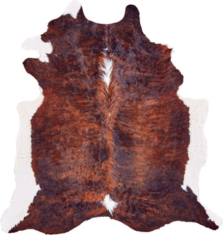 Feizy Bartlett COWHD Brown Area Rug