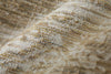 Feizy Augustine 39TUF Tan/Ivory Area Rug Detail Image