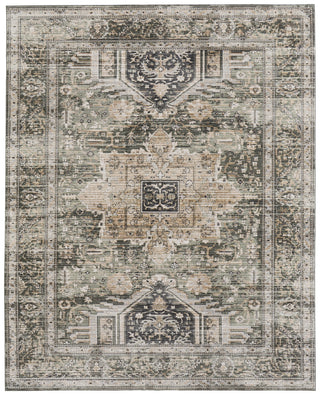Feizy Augustine 39TVF Green/Black/Tan Area Rug main image