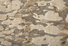 Feizy Braden 8A52F Tan/Taupe Area Rug Lifestyle Image Feature