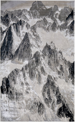 Feizy Jewel 39N2F Silver / Gray Area Rug main image